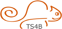 TS4B